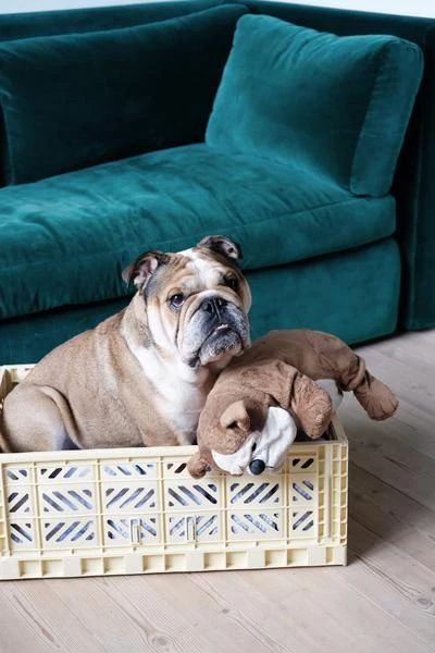 HAY Caja Plegable L 4 HAY Caja Plegable L