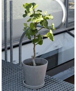 HAY Pot De Fleur Beton Flowerpot Taille Xl