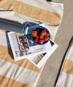 HAY 500ml Sowden Grey Thermo Bottle