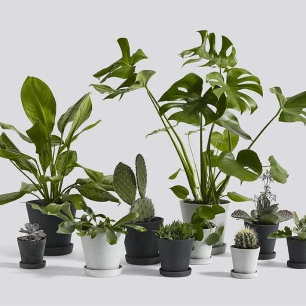 HAY Macetero Flowerpot M Black 4 HAY Macetero Flowerpot M Black