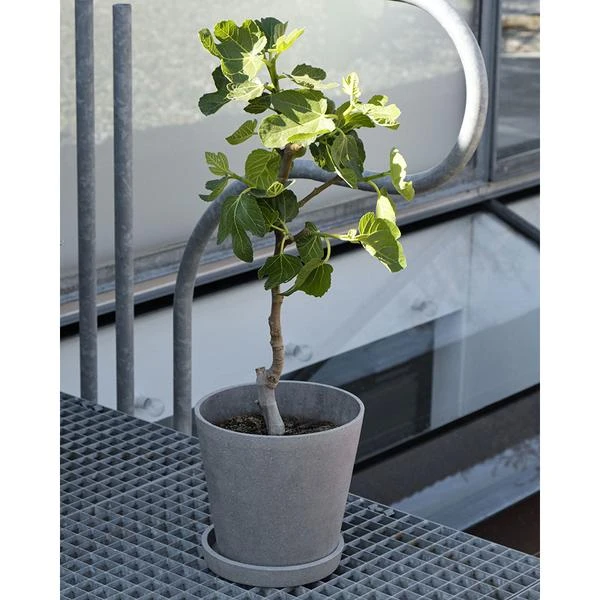 HAY Pot De Fleur Beton Flowerpot Taille S 8 HAY Pot De Fleur Beton Flowerpot Taille S