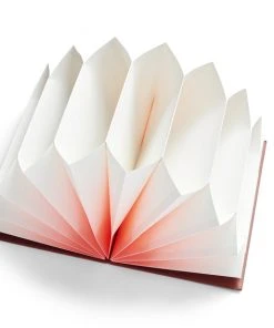 HAY Archive Folder Plissé- Pink