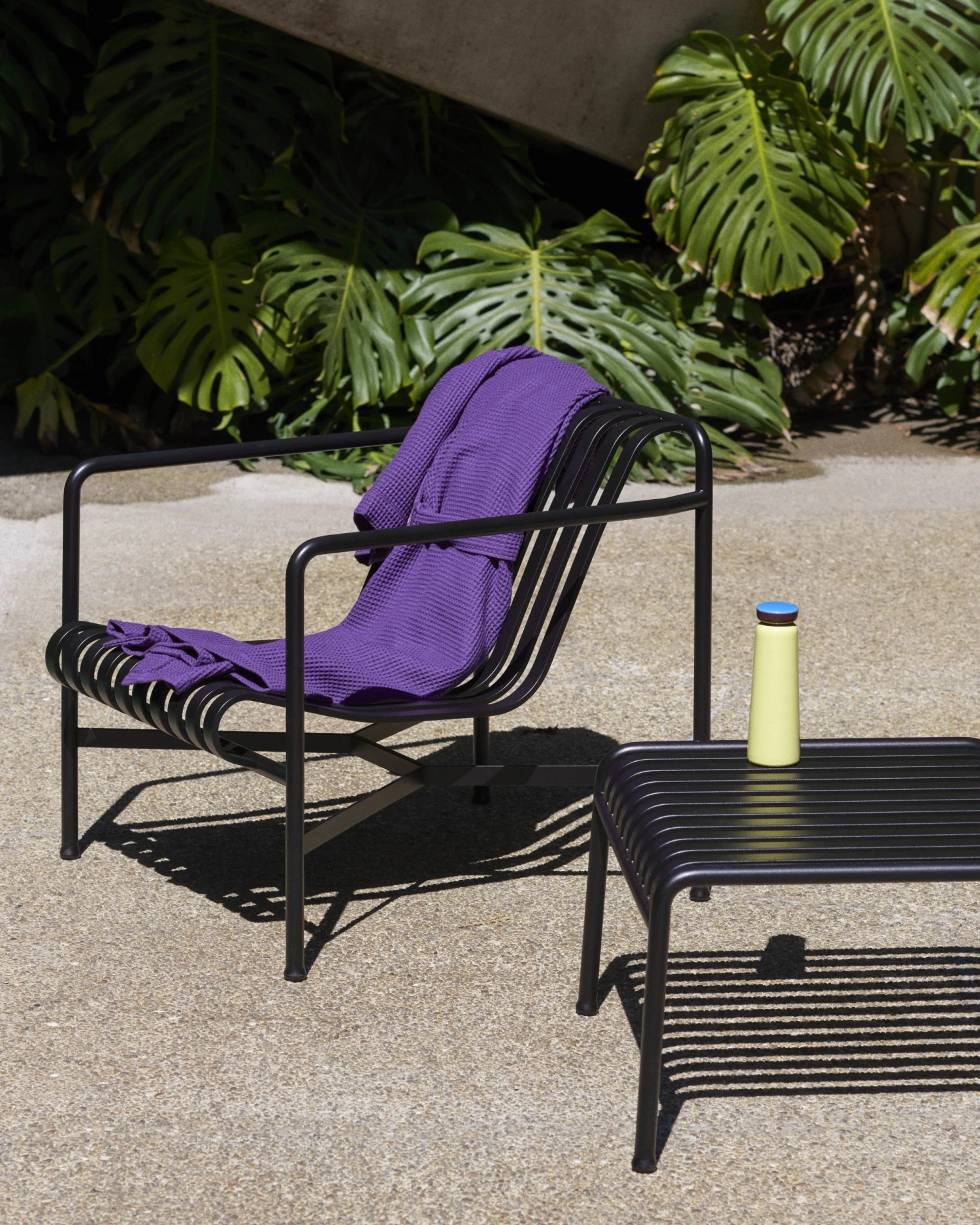 HAY bottiglia termica 0,5 litri 6 HAY bottiglia termica 0,5 litri