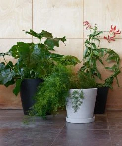 HAY Flower Pot with Saucer Large 11 HAY Flower Pot with Saucer Large