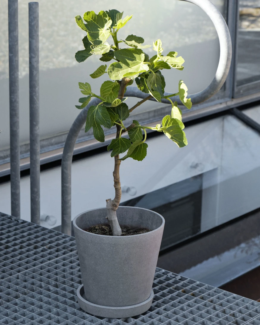 HAY Flower Pot with Saucer XL 5 HAY Flower Pot with Saucer XL