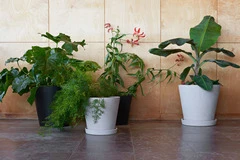 HAY Flower Pot with Saucer Small 5 HAY Flower Pot with Saucer Small