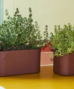 HAY Facade Herb Pot M