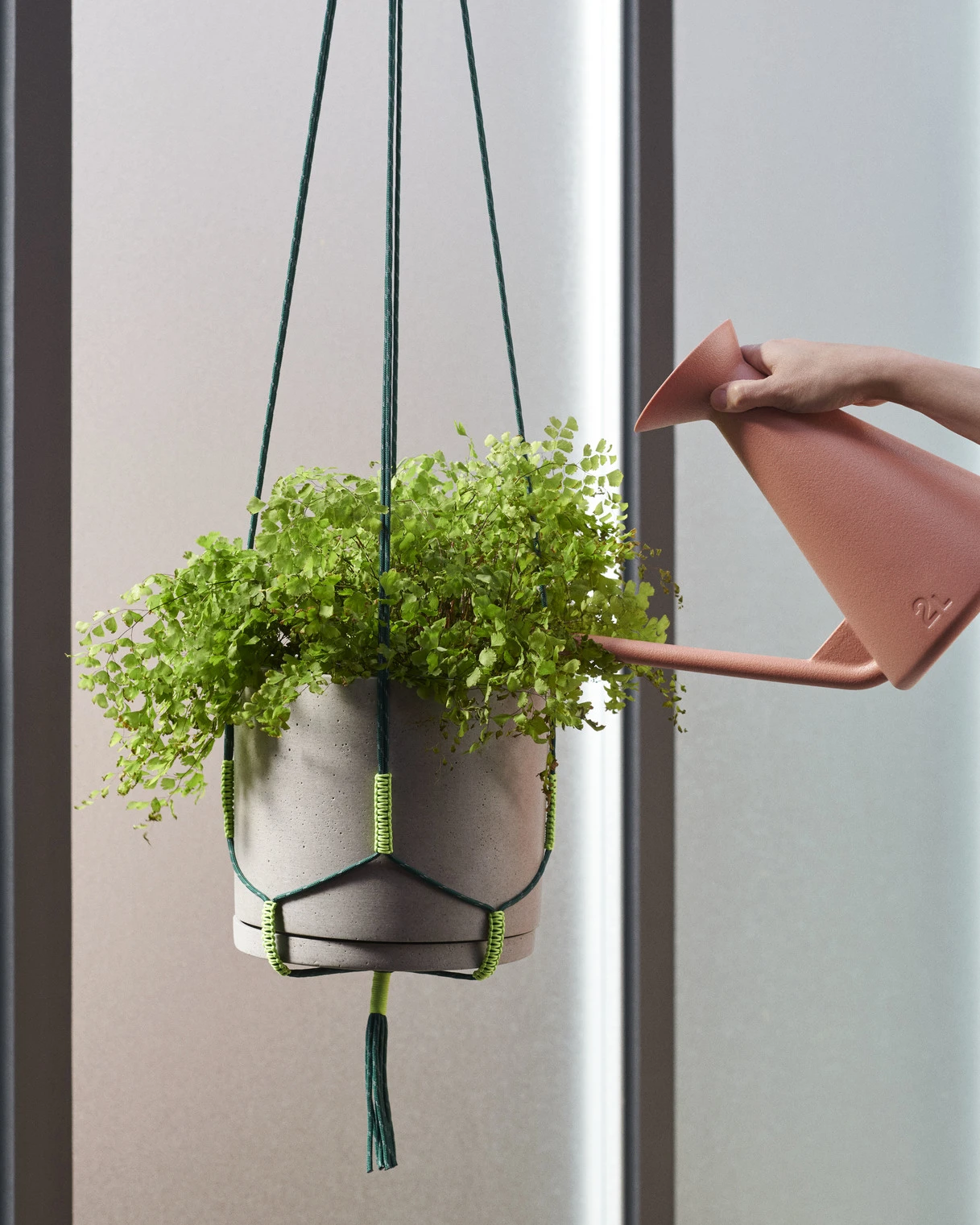 HAY PHANTA PLANT HANGER 5 HAY PHANTA PLANT HANGER