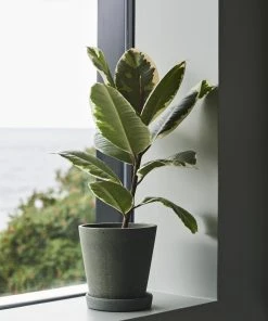 HAY XL Green Flowerpot with Saucer