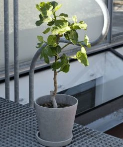 HAY Flower Pot with Saucer Medium