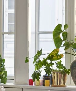 HAY Botanical Family Pot Brass Large