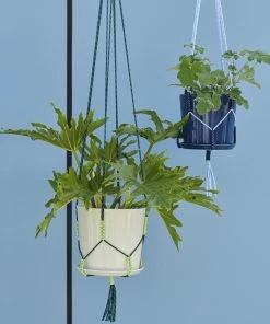 HAY PHANTA PLANT HANGER